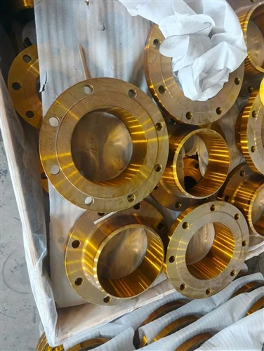 ASTM A 105 10 بوصة فئة 150 انزلاق على شفة RF طلاء أصفر